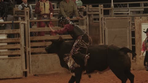 A Man Riding On A Dangerous Bull Stunning Moment