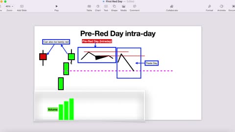 The BEST EVER explanation of STEVEN DUX "FIRST RED DAY"😮🔥