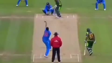 fans-video cricket lovers-video #cricket #cricketlover