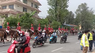 Kathmandu horse reading jama mahajid