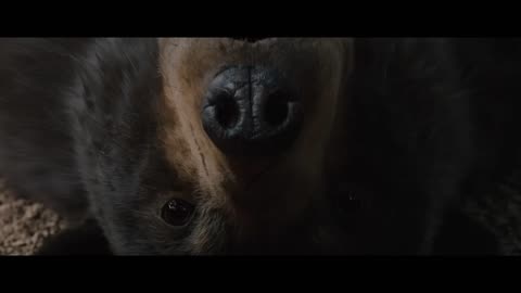 Cocaine Bear 2023 ( watch full movie link in description)