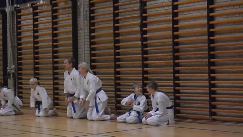 Risskov Karate Skole, Gekisai dai ichi