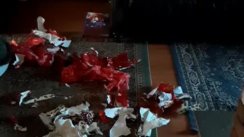 Doggy x mas destruction!