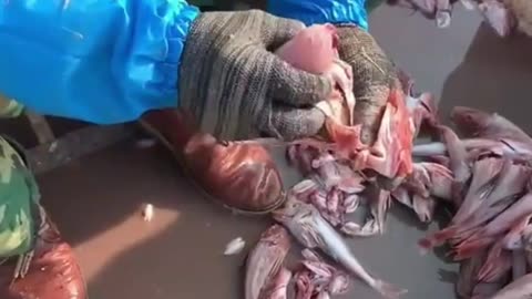 Amazing Fish Cutting Skills Compilation 😄