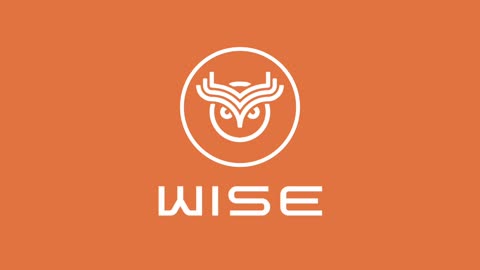 Learn About Wise Staking Token