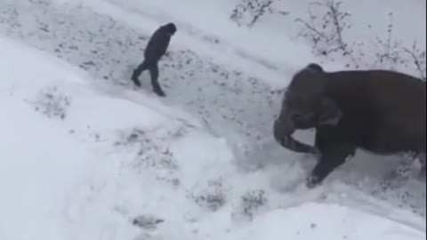 A typical day in Russia