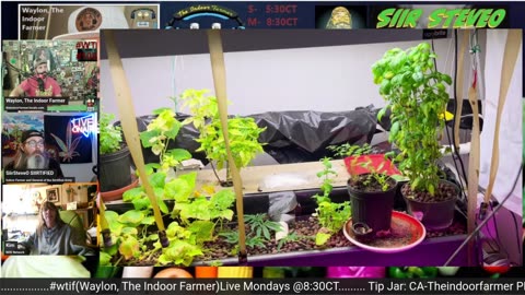 The Indoor Farmer #108! Stay Motivated! Continue To Fight For Sustainability & Freedom