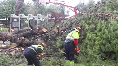 In Cordoba, The Storm Felled Trees And Blew Away Roofs | March 9, 2024