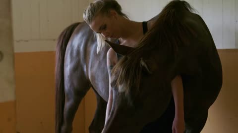 Close up of woman feeding and petting araban horse in stable