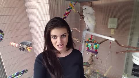 My Parrots Outdoor Aviator Cage Tour