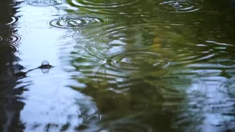 Music 🎵 with water