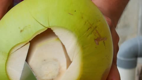 Very satisfying coconut cutting skills