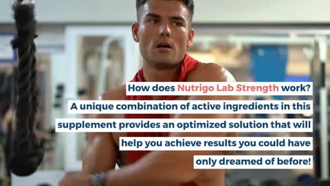 Nutrigo Lab Strength