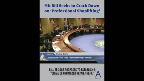 MN bill seeks to crack down on professional shoplifting