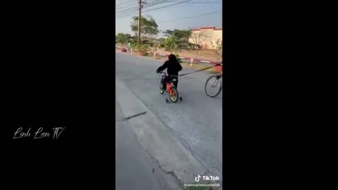 Have you ever seen such a thing? A monkey stole a bicycle from a man
