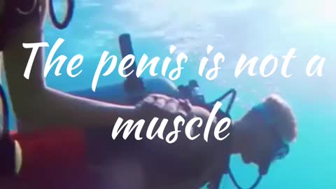 Penis Facts 7 #shorts