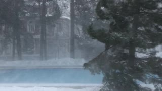 Swimming in a Snowstorm
