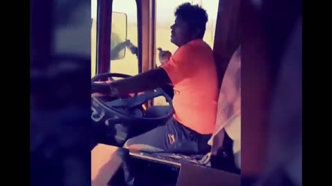 Truck driver thug moment😆🤣