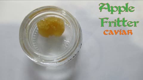 47 Apple Fritter caviar