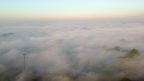 Flight Above the Fog