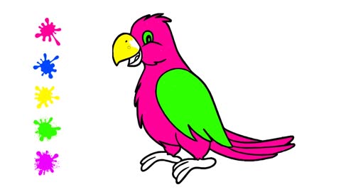 Coloring for Kids - How to Color Parrot (Only Coloring)