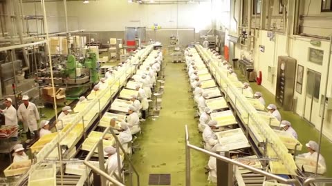 How it made Canned Tuna processing line in Factory