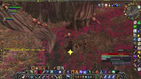 World of Warcraft Classic Hunter and Paladin (wife) adventures to the realm of Felwood