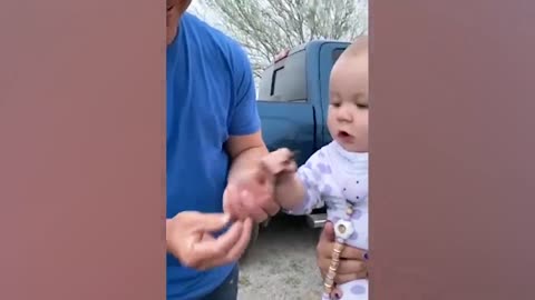 try not to laugh funny babies