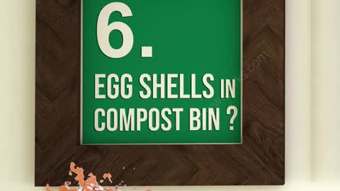 MAGIC OF EGG-SHELLS IN GARDEN | HOW TO USE EGGSHELLS FOR PLANTS?