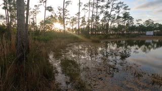 Long Pine Key Lake, Everglade National Park, Florida