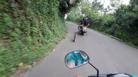 It's funny this monkey is riding a motorcycle race with people to see who's world champion