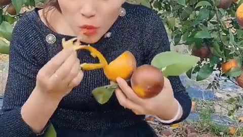 Farm Fresh Ninja Fruit Cutting Desi Satisfying Fruit Ninja Fruit Ideas | Amazing Fruits Video