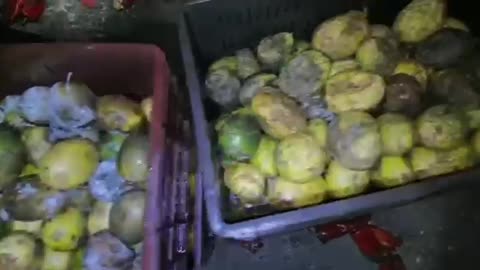 Video: En Santander incautaron 605 kilos de estupefacientes camuflados en frutas y verduras