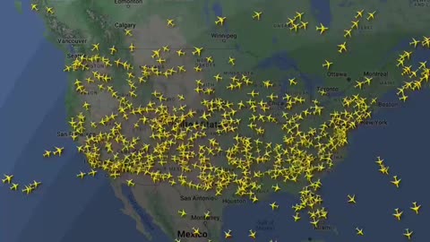 A failed tech update grounded flights throughout the country, US cyber security company CrowdStrike