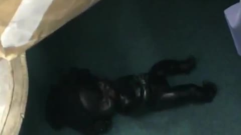 Black painted doll hidden underneath subway train seats
