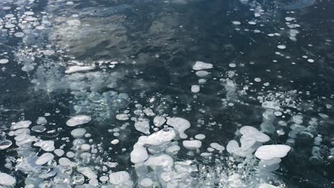 The Mesmerizing Ice of Abraham Lake