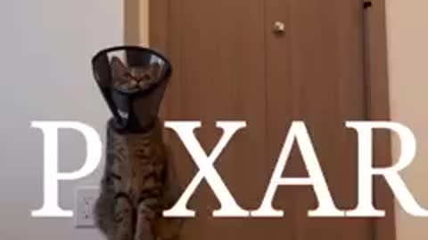 Pixar's new opening