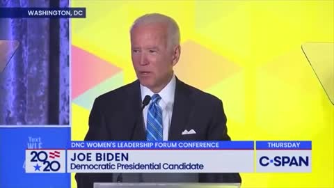 Biden's Lies are unbelievable. This puppet is not the President.