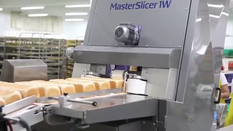 Food Factory Machines operating at an Insane Level▶Manufacturing Processing Line