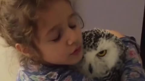 Big Owl Hugs Little Girl