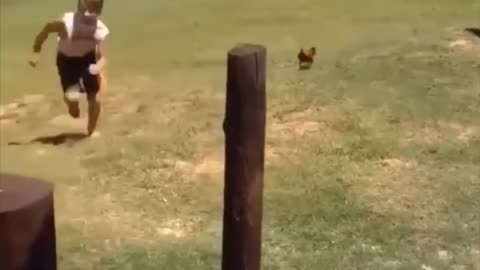 Animal Funny video
