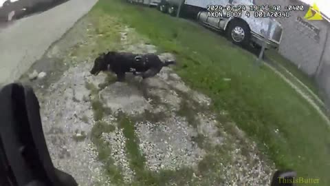 Body cam video shows moments before Dayton officer strikes K9 during arrest