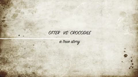 Cape Clawless Otter vs Nile Crocodile_Cut.mp4