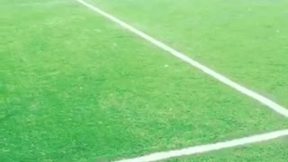 Dog chasing ball around in soccer field