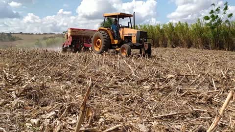 VALMET 880 PLANTADEIRA VENCE TUDO 7 LINHAS