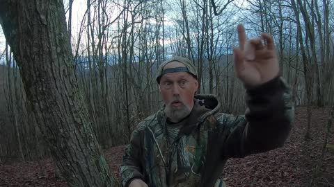 Preseason Turkey Scouting: Tom's Gobbling