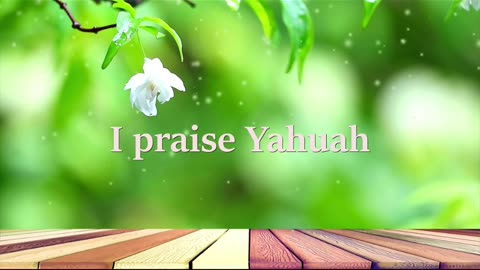 Halleluyah - Aleluya - Haleluyah - Hallelujah