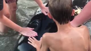 People Help a Pod of Whales