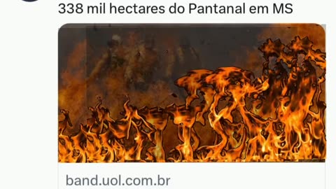 Amachamas - O luLadrão e Marinaet destruíram a amazônia. Despovoamento, Vendemos a Amazônia sem índios!