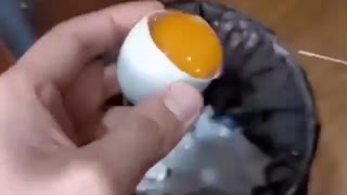 Nacimiento de un pollito